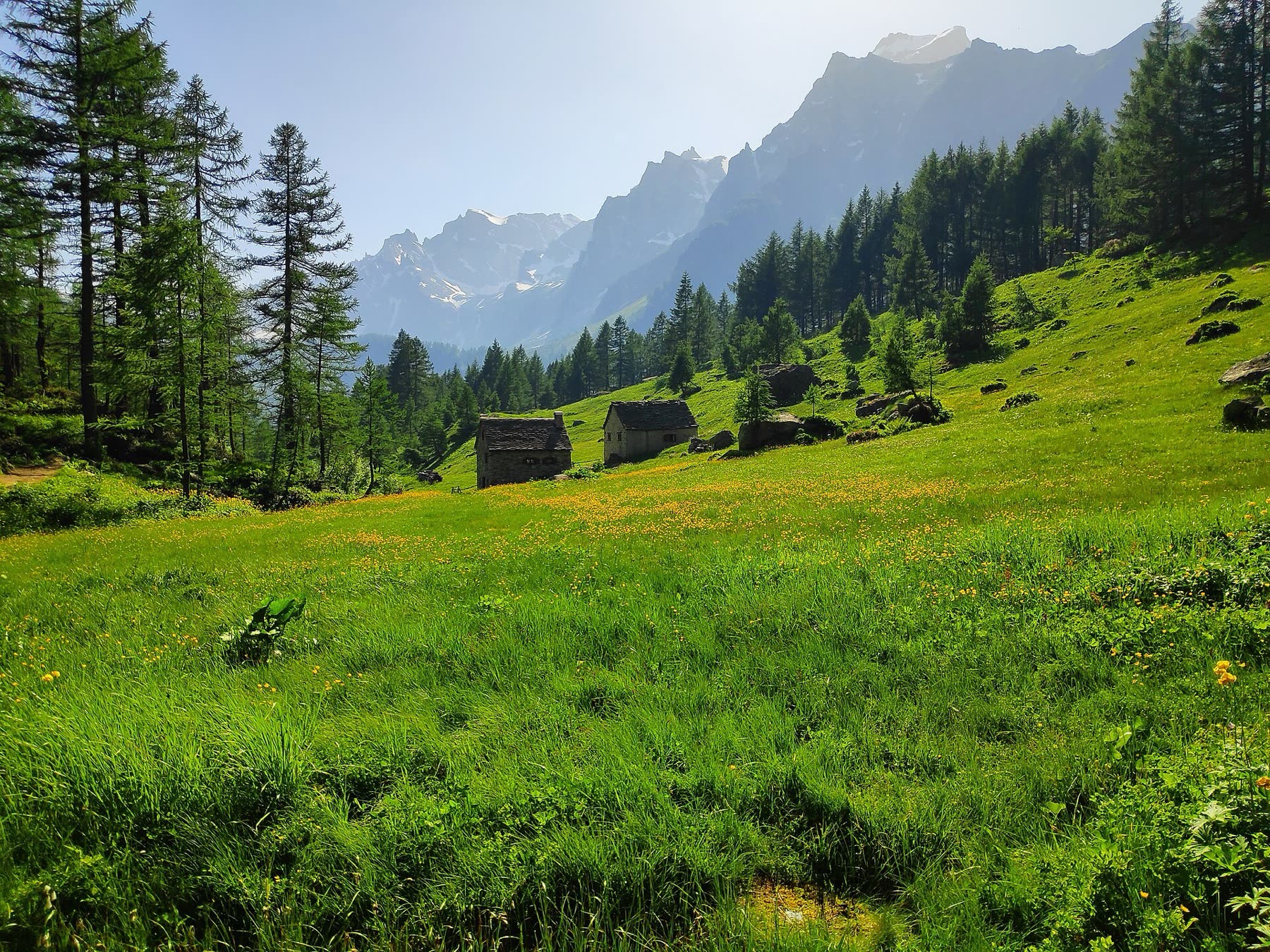 Stone houses and green pasture in the mountain hamlet of Crampiolo at Alpe Devero.